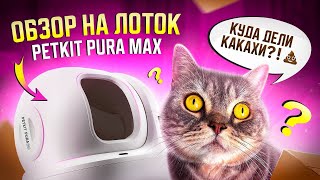 Обзор на автоматический лоток PETKIT PURA MAX / кто убирает за Бэнни вместо меня?