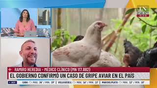 Casos Confirmados de Gripe Aviar en Argentina