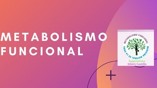 los 8 mejores alimentos para una excelente salud intestinal/metabolismo funcional