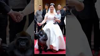 #funny #duet #thelatestfromaroundtheworld #seetheusaon50aday #baby #cute #monkey #wouldyoulookatthat