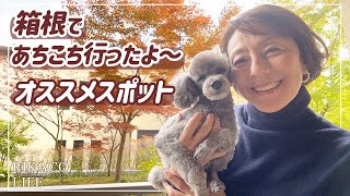 【Vlog】箱根でリフレッシュ〜いろいろ行ってきました！