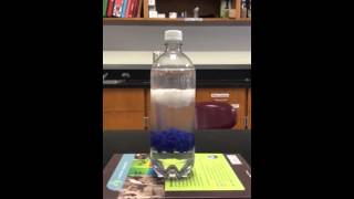 Density Bottle Demo