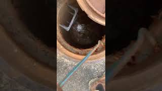 New challenge: How do I remove these cockroaches from this manhole? #shorts #animal #bug