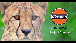 Project Cheetah