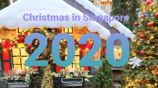 Christmas Decors in Flower Dome Gardens by the Bay Singapore 2020