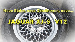 Der Jaguar braucht neue Räder, neue Zündkerzen...