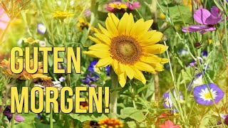 Ein sonniger Morgengruß für dich!   /   Fröhliche Grüße zum Versenden!