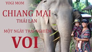 Chiang Mai | Một ngày trải nghiệm chăm sóc voi với nhà Opla | Yogi Mom Travel