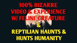 #DOGMAN, 100% BIZARRE VIDEO & EXPERIENCE W/ FELINE CREATURE & REPTILIANS HAUNT & HUNT HUMANITY