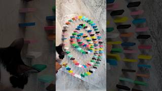 🎉😻🌈Most satisfying domino spiral effect with cat,Asmr domino bricks, domino spiral #domino #asmr