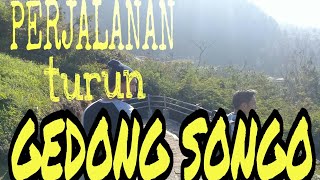 Perjalanan turun dari gedong songo