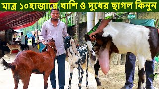 মাত্র ১০হাজারে খাশি ও দুধের ছাগল দিচ্ছেন ইমন ভাই goat farm