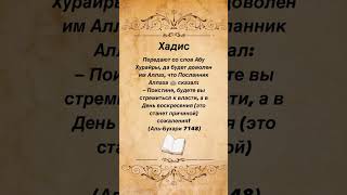 Поистине, будете вы стремиться к власти, а в День воскресения (это станет причиной) сожаления #хадис