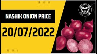 20/07/2022 | Nashik Onion Price Update | Export and Domestic Quality Onion| Indian Onion Exporter