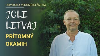 Joli Litvaj: Prítomný okamih