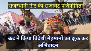 ऊंट सजावट प्रतियोगिता | camel decoration competition | best camel decoration