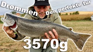 Den PERFEKTE tur 🤩 Havørred fiskeri 🎣