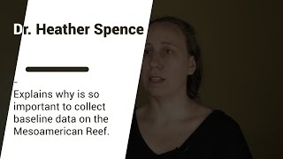 Dr. Heather Spence | Explains what is baseline data and the importance of  collecting it