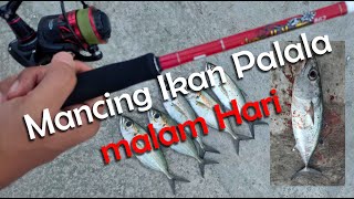 MANCING IKAN PALALA ( SELAR ) DI PELABUHAN