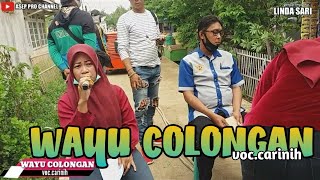 LINDA SARI LiveWAYU COLONGAN voc. CARINIH Desa TANJUNG TIGA 17 DES 2020