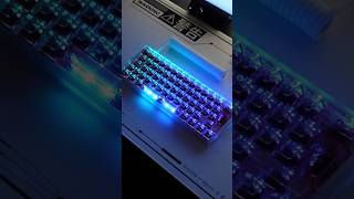 Teclado custom gamer usando el Wooting 60HE+ Module