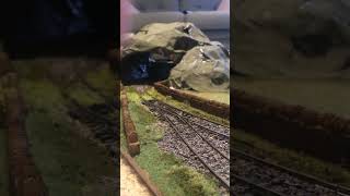 New scenery on the layout!