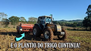 E o plantio do trigo continua!