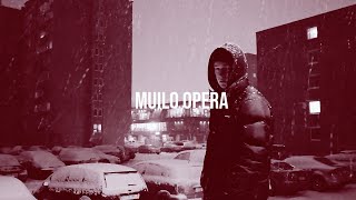 TYFAZ - MUILO OPERA