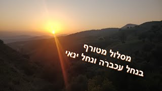 טיול לנחל עכברה ונחל ינאי - מעיינות, ארכיאולוגיה, מלא טבע וקברי צדיקים - תהנו!