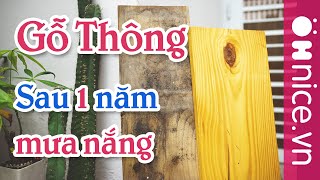 Gỗ Thông Để Ngoài Trời Sau Một Năm Mưa Nắng Có Hư Không? - Ohnice Decor