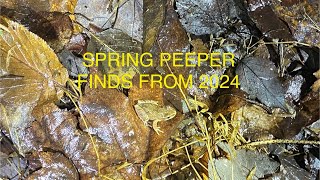 Spring Peeper finds from 2024