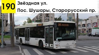 Автобус 190 "Звёздная ул. - пос. Шушары, Старорусский пр."