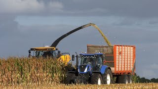 Mais hakselen in Harich door loonbedrijf A. Rijpma