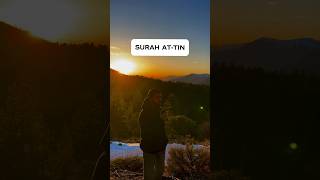 Beautiful Recitation of Surah At-Tin In Front of Sunset☀️ #quran #islam #allah #muslim #islamic