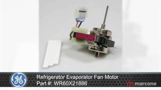 GE Refrigerator Evaporator Fan Motor Part #:WR60X21886