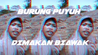 BURUNG PUYUH REMIX