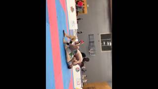 Ian Harper Pro Fight NoGi European's Absolute