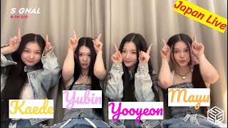 [ENG SUB] tripleS SIGNAL LIVE 240717 (Yooyeon, Yubin, Kaede, Mayu) 트리플에스 Japan Mukbangs