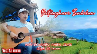 Terbaru...|| gtr tunggal batanghari sembilan kolaborasi musik || Cipt & Voc: Ali imro