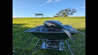 E7 Picnic and bbq grilled fish at a park by the beach [ASMR]