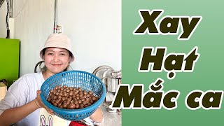 Xay Vỏ Hạt Macca Cùng Trang Ở Đắk Lắk #shorts