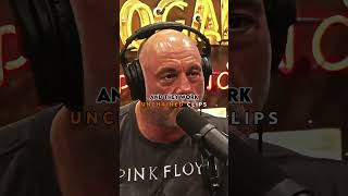 Joe Rogan Would Pay More for an iPhone Made by Us Workers