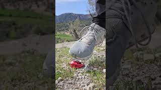 Recycling a coca cola can while hiking in Mallorca #canyoustandonit