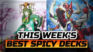 Nekroz, Gishki, Pendulum - Spicy Decks of the Week