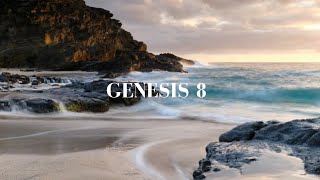 Genesis 8 - Aftermath of the Global Flood