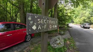 2023 Elkmont Campground Sites G-H Summer Tour Great Smoky Mountains