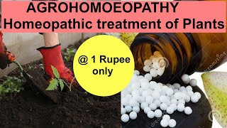 JOIN Channel Membership to watch videos on #AGROHOMOEOPATHY#Homeopathic_Treatment_of_Crops_&_Plants