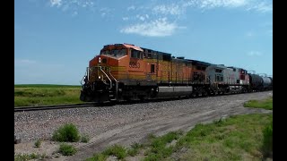 BNSF Local on a Windy Day