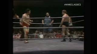 Mil Mascaras,Haystacks Calhoun,Larry Zbyzsko vs Strong Kobayashi,Tank Patton,Golden Terror 4/25/1978