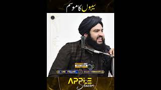 Apple Season in Kashmir | Hafiz Aadil Siddique Shb DB @Umm4ti #umm4ti #hafizaadilsiddique